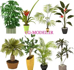 8 عدد PNG گلدان گیاه | کات اوت گگلدان گیاه | سی جی مدل مرجع فایلهای فتوشاپ