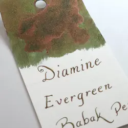جوهر خودنویس دیامین رنگ همیشه سبز Diamine ink Evergreen - نوشت افزار بابک