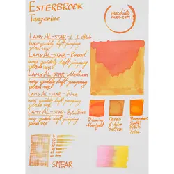جوهر خودنویس استربروک نارنگی Esterbrook tangerine - نوشت افزار بابک