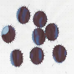 جوهر خودنویس دیامین رنگ نیلی - Indigo - نوشت افزار بابک