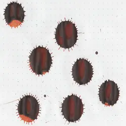 جوهر خودنویس دیامین رنگ مس باستانی - Anciet Copper - نوشت افزار بابک