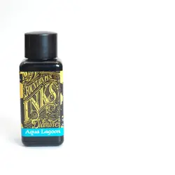 جوهر خودنویس دیامین رنگ آبی فیروزه ای Diamine ink Aqua lagoon - نوشت افزار بابک