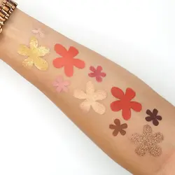 پلت سایه رژگونه و هایلایتر کارا بیوتی