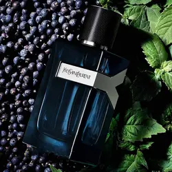 عطر ادکلن مینی ایو سن لورن وای اسکوپ |  YSL Y Scoop حجم 30 میل