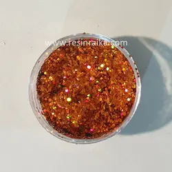 اکلیل هلوگرام کد 025