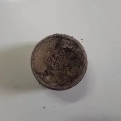 رنگ پودری صدفی قهوه ای (50g)