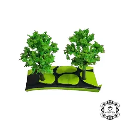 درختچه اکالیپتوس 2 عددی