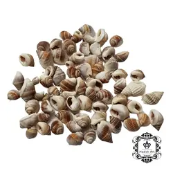 صدف قیفی رنگی مخلوط