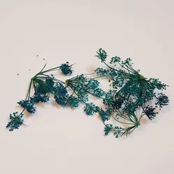 شاخه مینیاتوری فیروزه ای