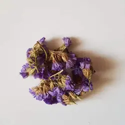 گل خشک طبیعی لیمونیوم بنفش