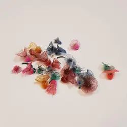 گل چتری رنگی