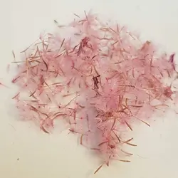 قاصدک تزئینی صورتی