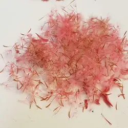 قاصدک تزئینی گلبهی