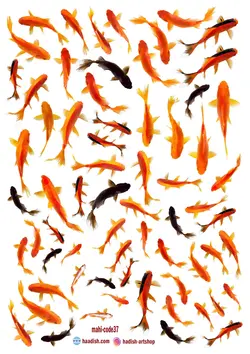 ترنسفر ماهی (کد37)