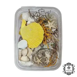پک مخلوط صدف دریایی