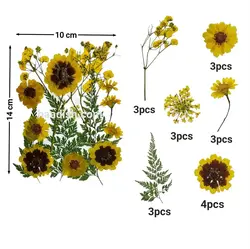 پگ گل خشک وارداتی