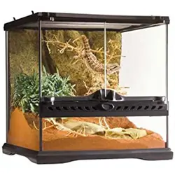 تراریوم مناسب خزندگان مدل شیشه ای - پرشین پت شاپ