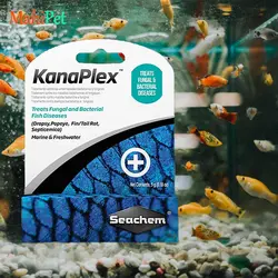 داروی آنتی بیوتیک کاناپلکس سیچم SEACHEM KanaPlex سایز 5 گرم