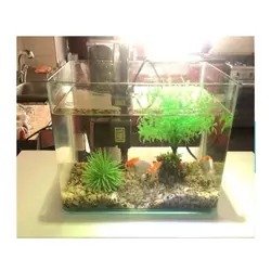 آکواریوم شیشه جلو خم L-30 (30*19 ارتفاع 20) سری C-K بدون درب