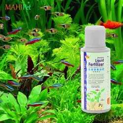 محلول ضد جلبک آکواریوم اوشن فری Algae Remover P5 حجم 120 میلی لیتر