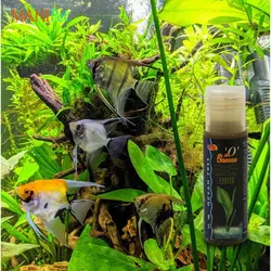 محلول گیاهی درمانی مجیک اوشن فری O Disease حجم 50 میلی لیتر