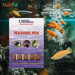 غذای منجمد میکس ماهیان گرمسیری اوشن نوتریشن Tropical Mix وزن 100 گرم