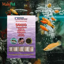 غذای منجمد گوشت ماهی مرکب اوشن نوتريشن Squid وزن 100 گرم