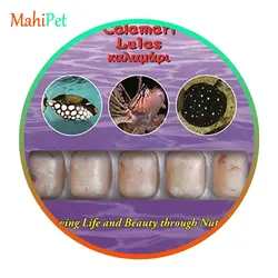 غذای منجمد گوشت ماهی مرکب اوشن نوتريشن Squid وزن 100 گرم