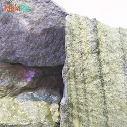 سنگ صخره ای آکواریومی سبز رگه دار متوسط