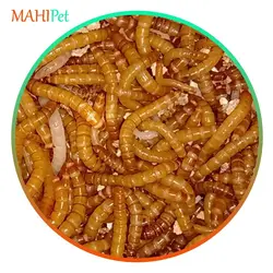 غذای کرم میلورم زنده بسته 100 گرمی