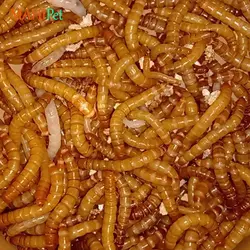 غذای کرم میلورم زنده بسته 100 گرمی