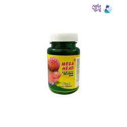 غذای پلت ماهی فلاور مدل mega head وزن 60 گرم
