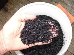 شن آکواریوم مشکی کیلویی