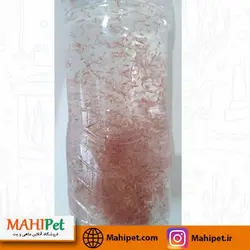 آرتمیا زنده یک لیتری حاوی 20 گرم