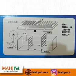آکواریوم مخصوص نگهداری ماهی فایتر ( بتا باکس )