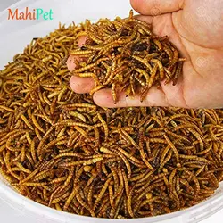 غذای کرم میلورم خشک بسته 50 گرمی