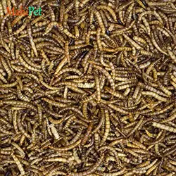 غذای کرم میلورم خشک بسته 50 گرمی