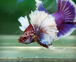 فایتر بیگ ایر 5 تا 7 CM