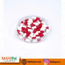 کپسول باکتری پک 10 عددی