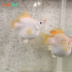 ماهی مولی بالن بیگ ایر پلاتینیوم (جفت)