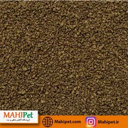 غذای گرانول تروپیکال دیسکس وایلد (250ml)
