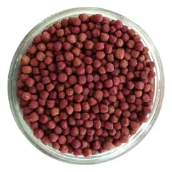 غذای ماهی پت مدل سیچلاید وزن 500 گرم