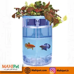 خرید آکواریوم فایتر بتا فلورا (2 لیتر) - ماهی پت| فروشگاه اینترنتی آکواریوم و ماهی