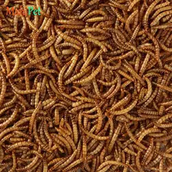 غذای کرم میلورم خشک بسته 500 گرمی