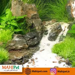 شن سنسیبار وایت JBL (10kg)