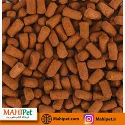 غذای مانستر تروپیکال (1000ml)
