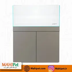 خرید آکواریوم ریملس آکوا شیشه وین وایت با پایه (ابعاد مختلف) - ماهی پت| فروشگاه اینترنتی آکواریوم و ماهی