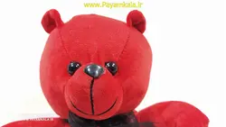 اسباب بازی عروسک پولیشی خرس تدی (1337) سایز کوچک