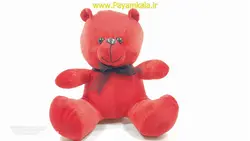 اسباب بازی عروسک پولیشی خرس تدی (1337) سایز کوچک