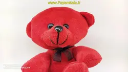 اسباب بازی عروسک پولیشی خرس قلبی (10033) سایز کوچک